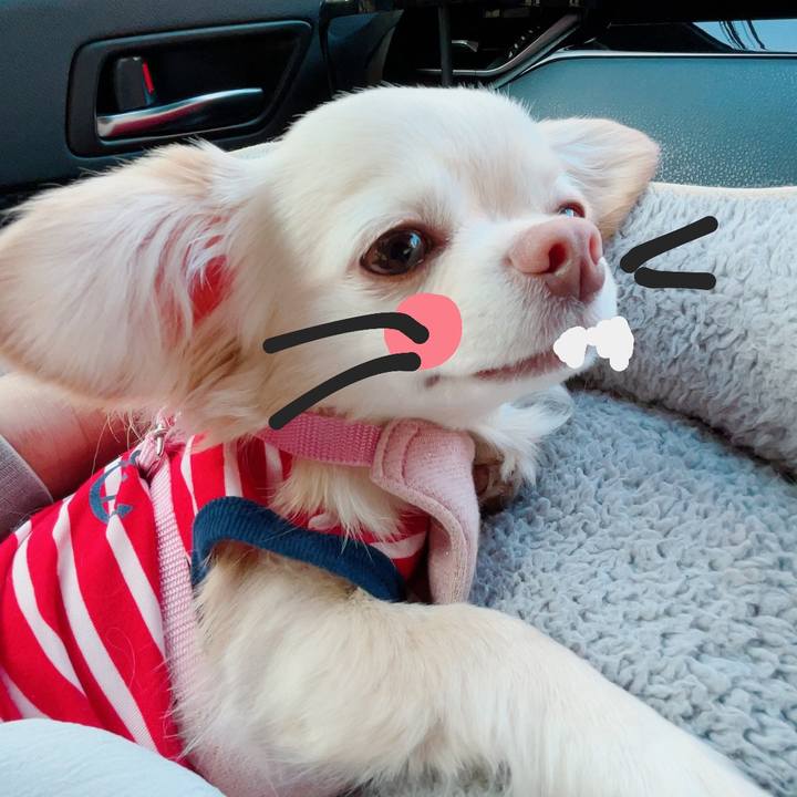 Ca36839e d497 4eec 9293 0ded5ca59c72 1717246979939