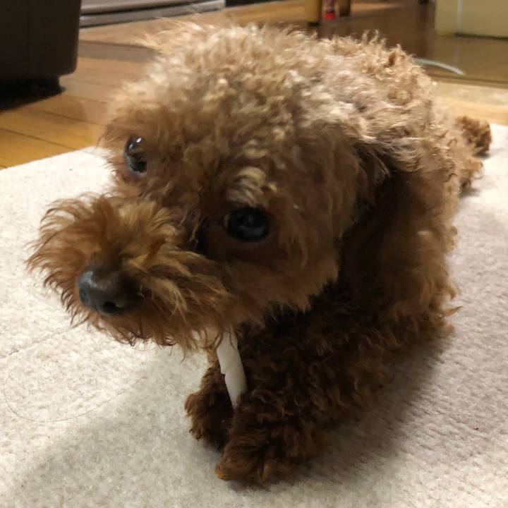 Ca36a74b e86e 4091 a459 5aa6d1b64a38 1536272206858