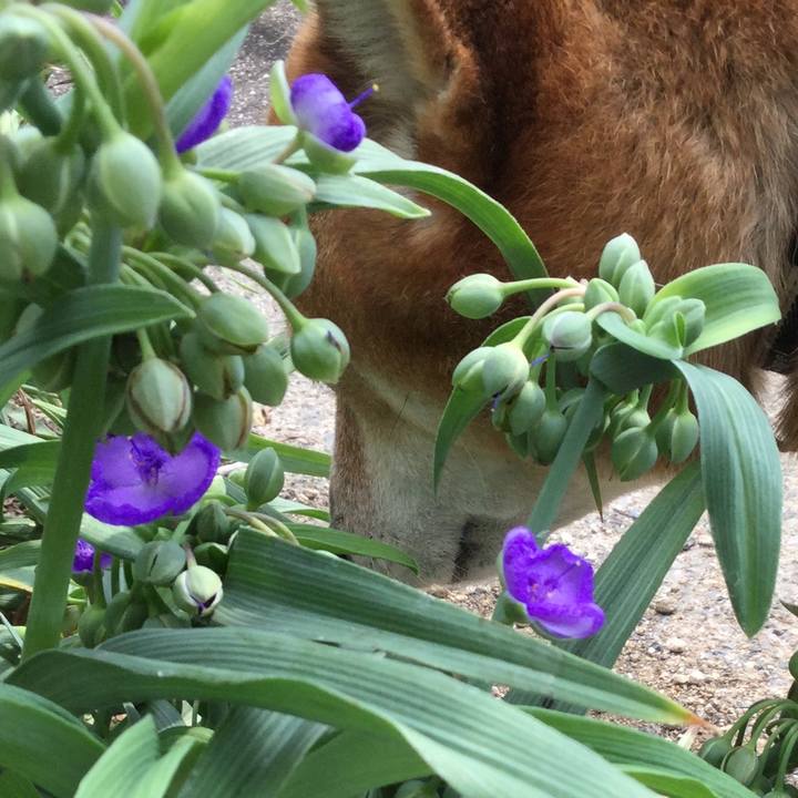 Ca36d022 3f67 442b bd0a 90ff3fac6ba0 1567386645887