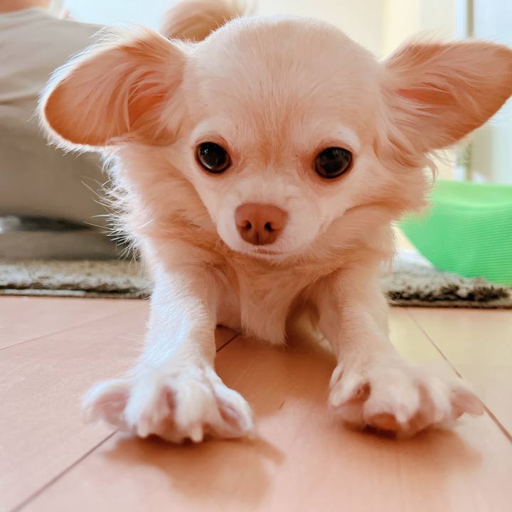 Ca36d769 4d87 4a6a 8ec0 73c5a6041602 1660449787712