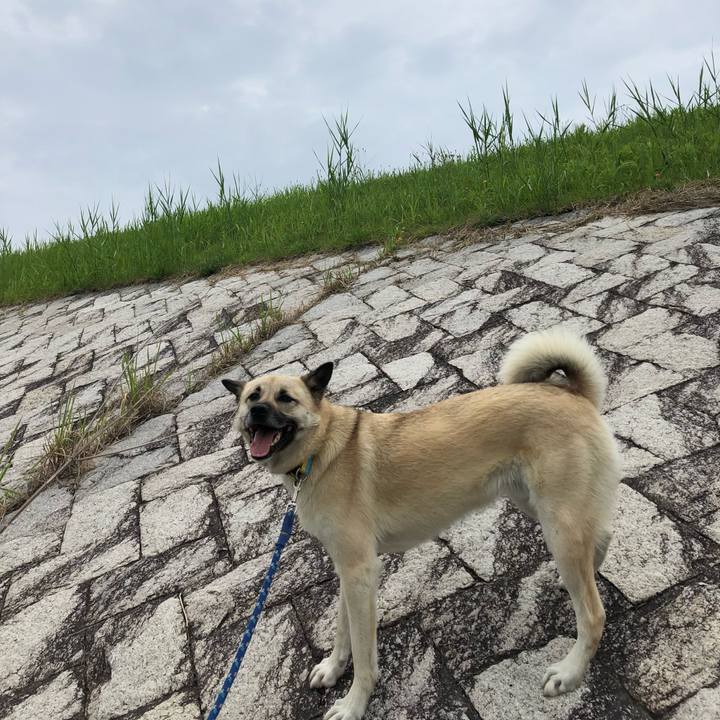 Ca3708a9 f551 4e30 be31 af0d88b02fd7 1528601689919