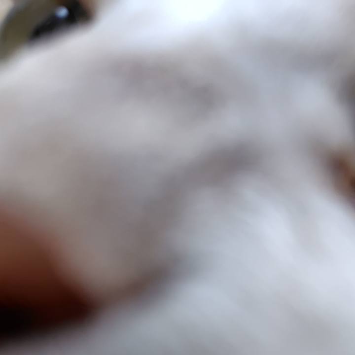 Ca370ee4 f19d 4db0 a877 100aef44aa16 1764391662016