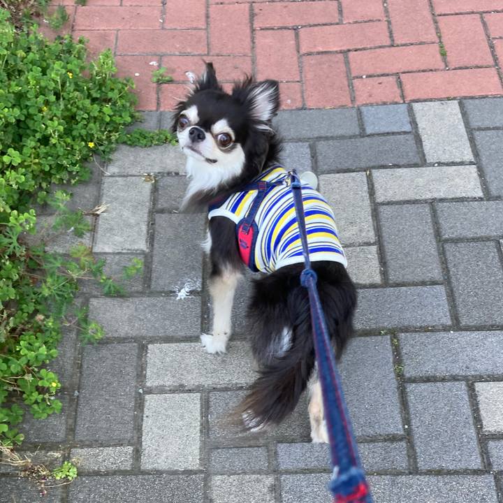 Ca371810 6e68 4632 b3d8 125e544e8e01 1714926082466