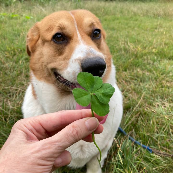 Ca374408 8d08 43c0 8f8d 0b2060093a71 1730162246561