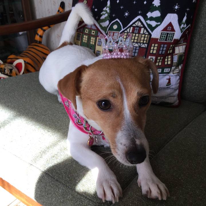 Ca3769df c6a1 4e15 8ab0 2c7c4e8893e5 1521070104963