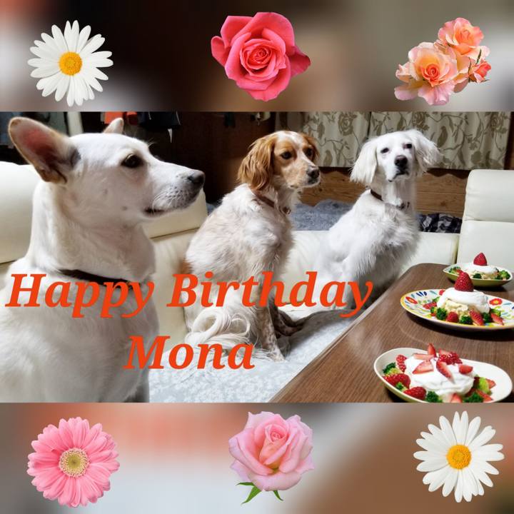 Ca376b02 216d 47c3 bba8 fc60bc2e9a7f 1619096670842