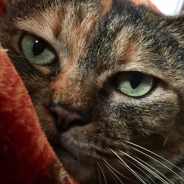 Ca377664 a5eb 490c 967d 502c0cbabe79 1577260191452