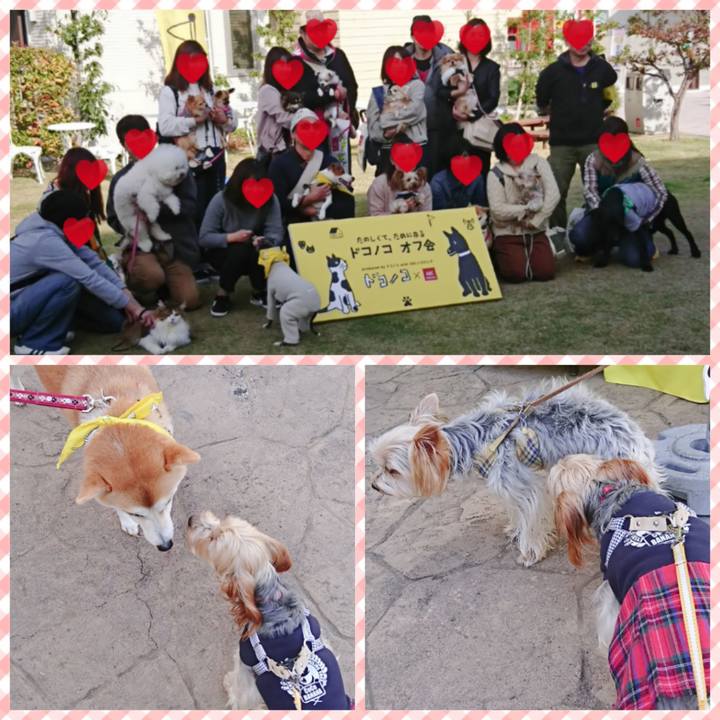 Ca378fcd 8ca3 496a a65e 55cd34e938c2 1542531714006