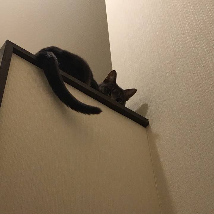 Ca37cd8b 49f8 490f 91d7 1d613aaebbd4 1541595650212