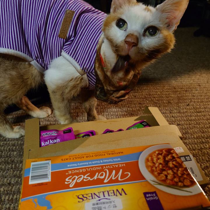 Ca37f748 b857 4180 95ea 271628c5b8b1 1771754676065