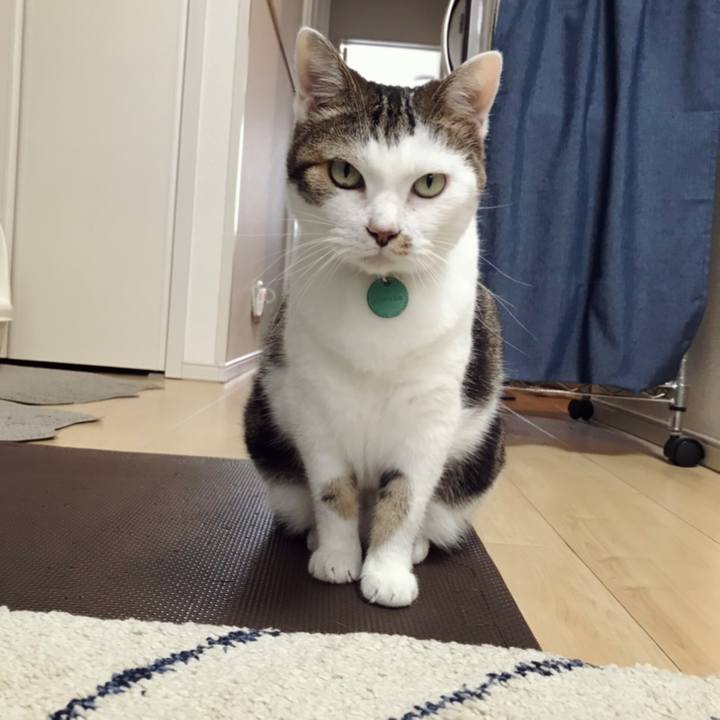 Ca37f778 e151 4690 97e7 6b298c4bd9cf 1595304830382