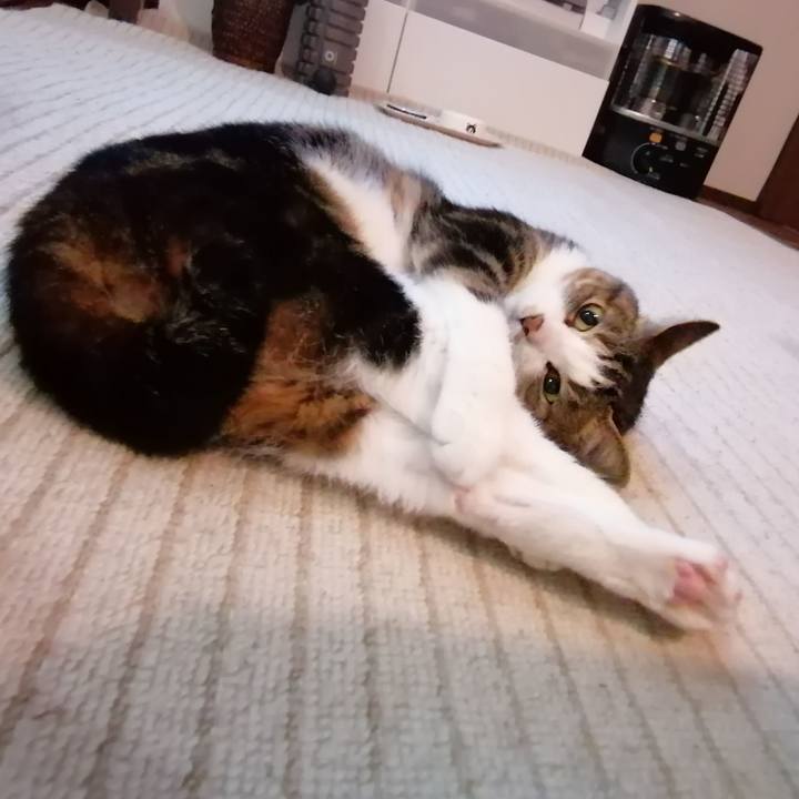 Ca380906 55a9 4233 931f c3c75e975402 1581932125041