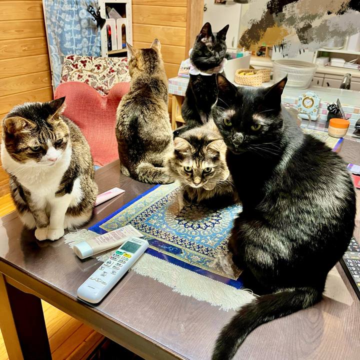 Ca380f72 499a 4392 abf1 9b384d030fc4 1770556469948