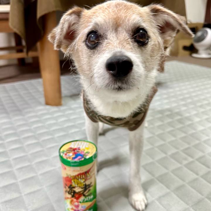 Ca3818e2 5c04 4d82 bd32 2532c41dd5b5 1719103801846