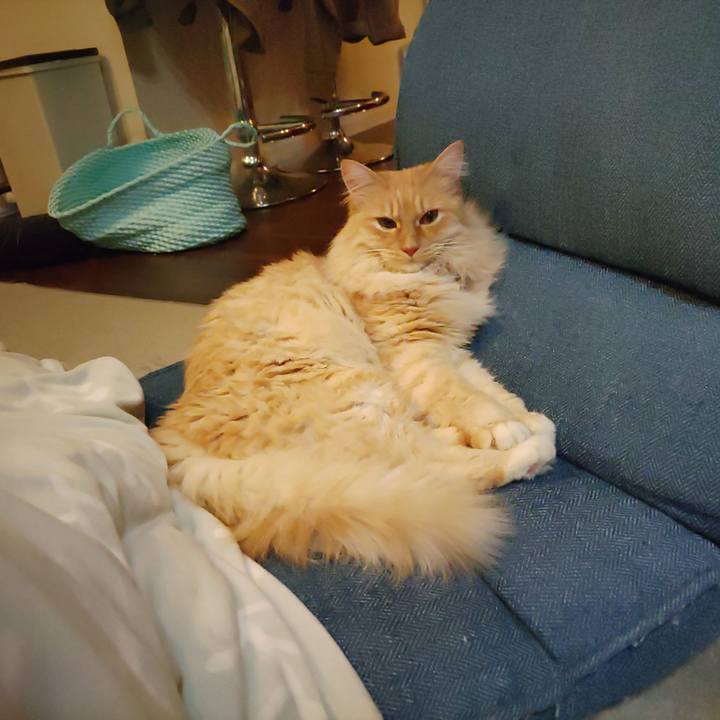 Ca382c65 131b 4a0a baca 27b3f0ac1498 1676380800628