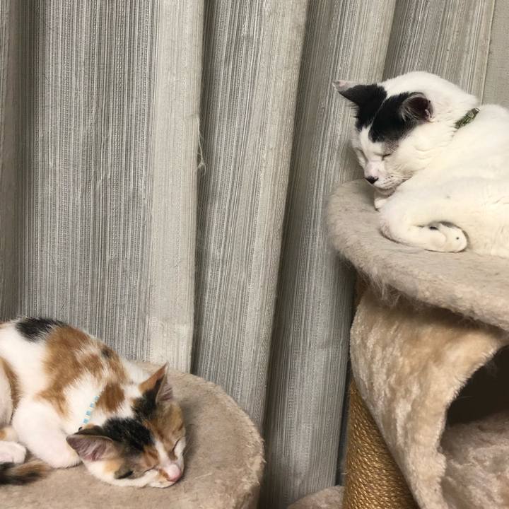 Ca38a56a 7a55 4099 93be d0ab8142a596 1563289574429