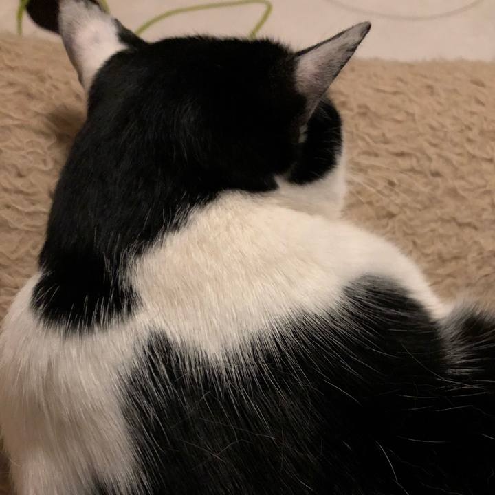 Ca38db7d 5861 41ea 80a7 e00449532c31 1555169583874