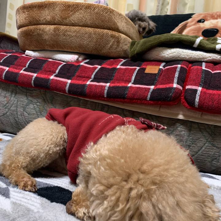 Ca38f6d5 b02e 4f8f 8cfe bb56e3245a63 1610970505898