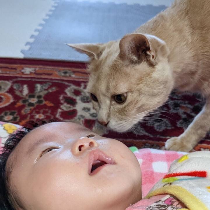 Ca3901d9 dd54 4e24 bbf5 0aa2eac7f9f4 1666953123897