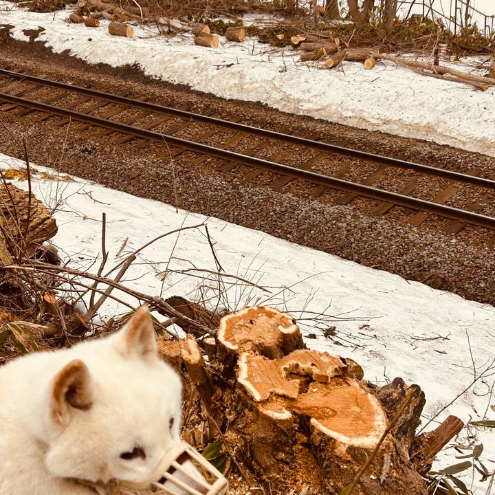 Ca3925c5 c3a8 49c3 80d5 9ecde880e507 1775085112350