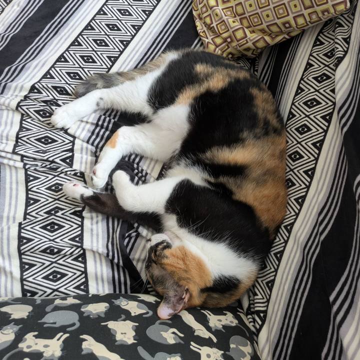 Ca392738 3e85 4550 b02e 598c25abd4d4 1752369814909