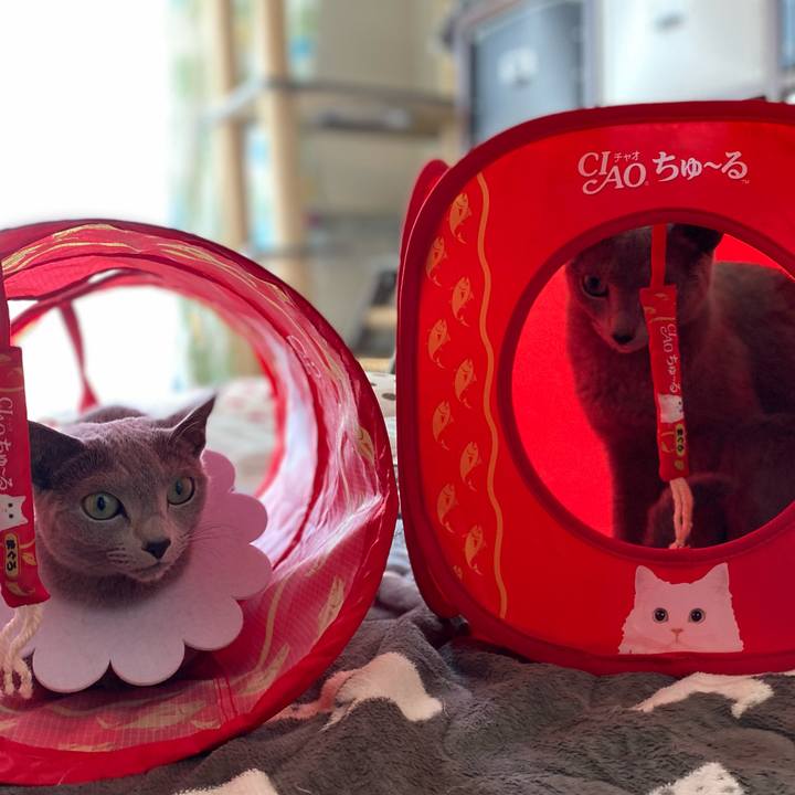 Ca393d89 89b7 4228 9064 966e9e21bdee 1677478437462