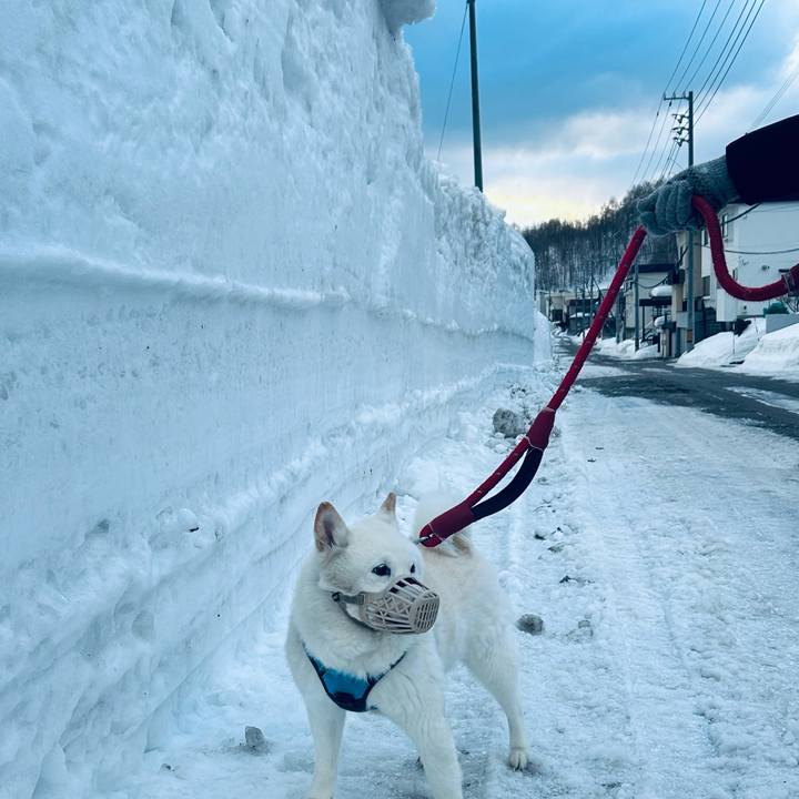 Ca393e05 059e 4b11 95cc 2f6c44237f4c 1772317751854