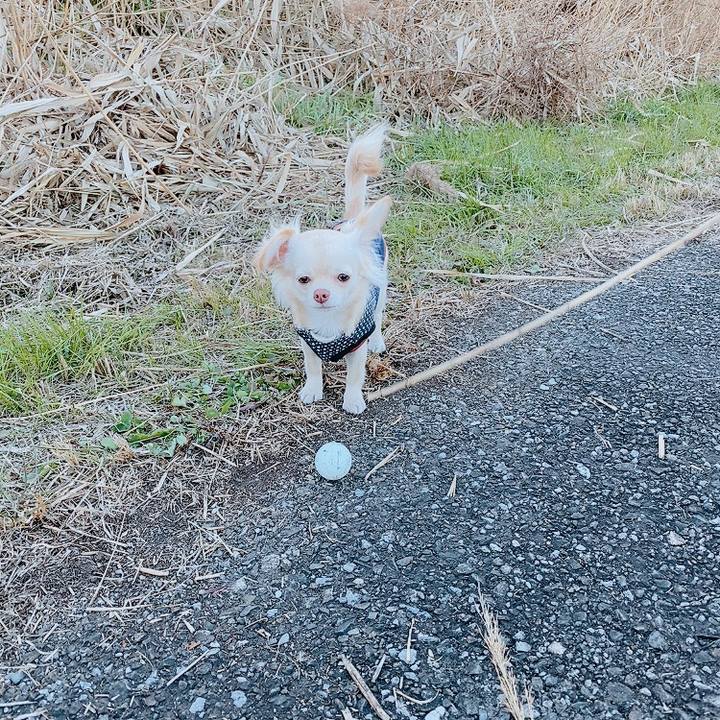 Ca398b5a 4215 4915 843a 049a77f4593f 1609765135318