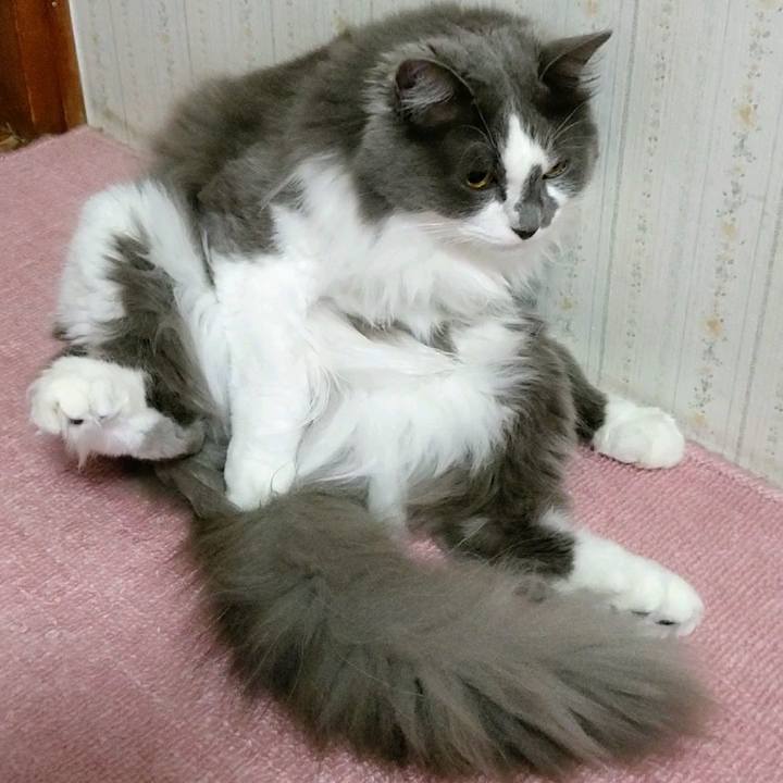 Ca398f1b 0971 4236 83a7 c2a7a1fed03b 1592094022089