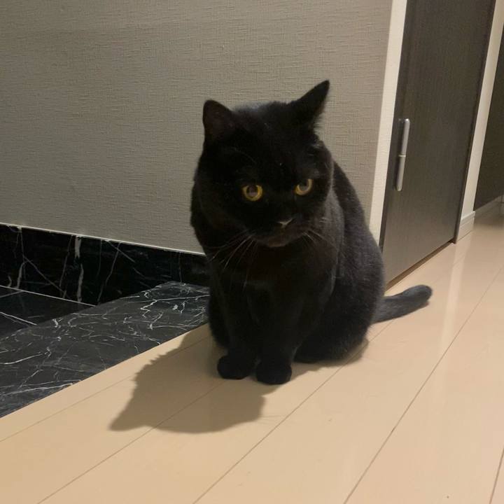 Ca39a513 e5d1 4471 8550 3e973f6bdea9 1772625799847