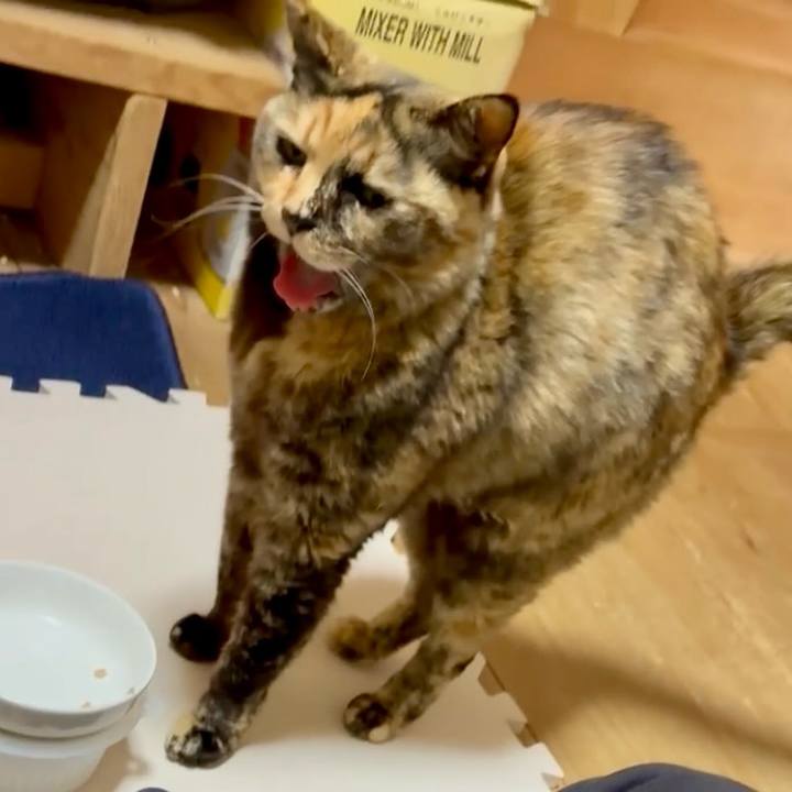 Ca39b3b6 c2ea 4313 8987 9e5597037562 1772939921799