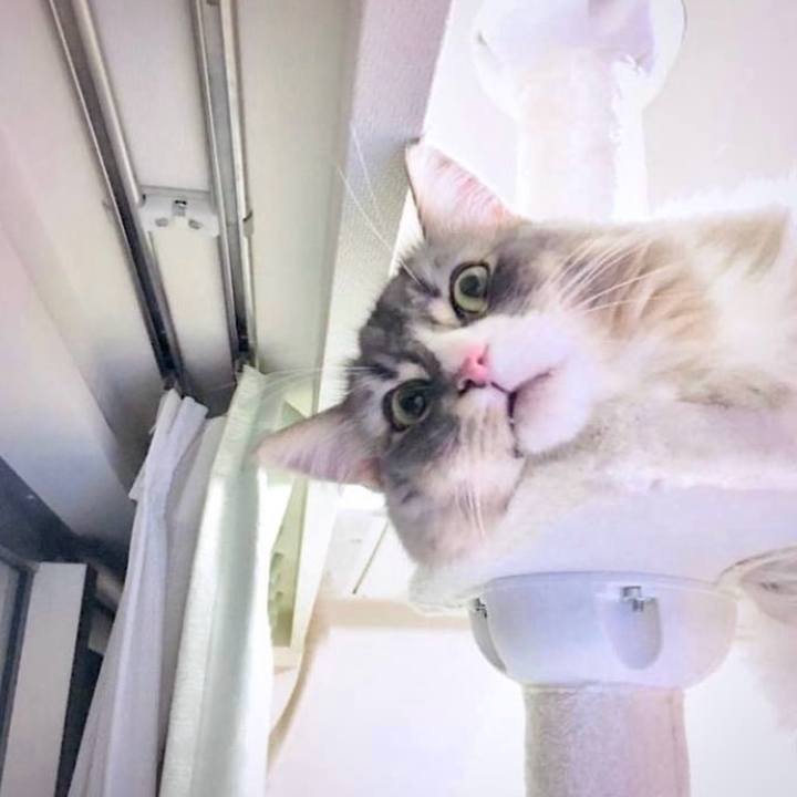 Ca39e35f bae5 435a 83c1 e777e2e0293a 1753026303735