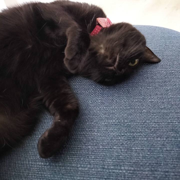 Ca39f083 b6bd 4329 8a04 aef5c9b38370 1714477162166