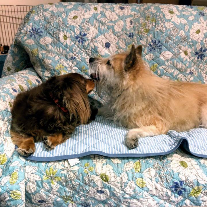 Ca3a0ed4 198d 4e08 bf5a 0c0898bba512 1559820416476