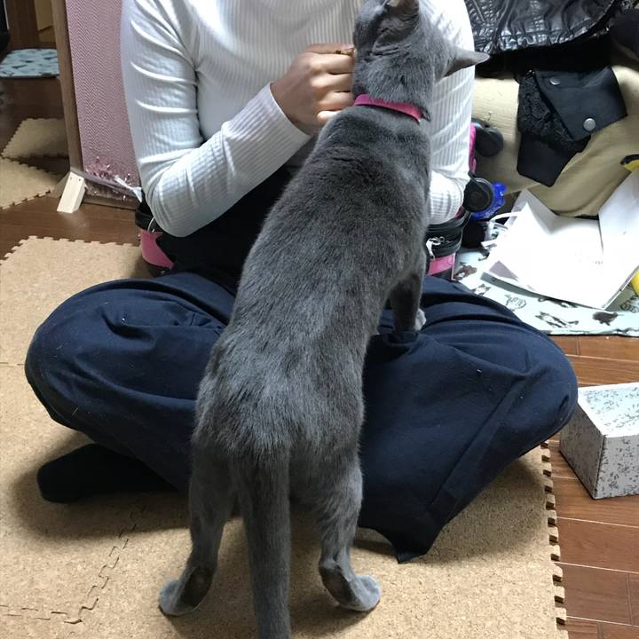 Ca3a1d98 0fb0 44ae 8c95 f2d19633774c 1521358922115