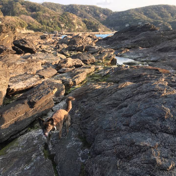 Ca3a5334 59a4 4f5c b9d2 6ff2a62e780d 1553344003346