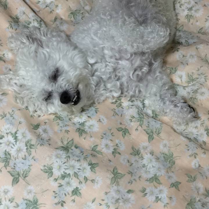 Ca3ab12a 4c2e 4c92 a9f2 d1d8740f99ff 1542022571447