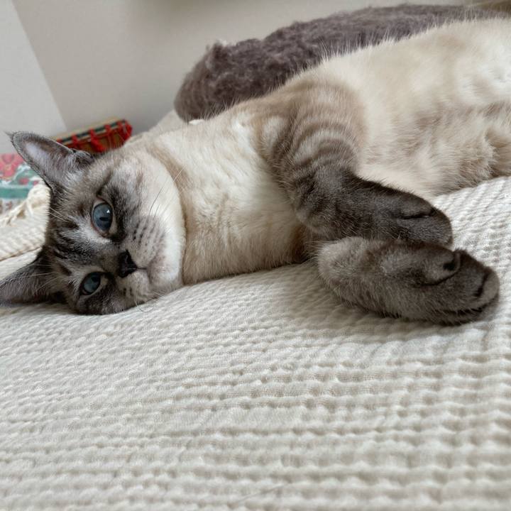 Ca3b10b3 03ae 47fc ad2c 218b08c35925 1750641035325