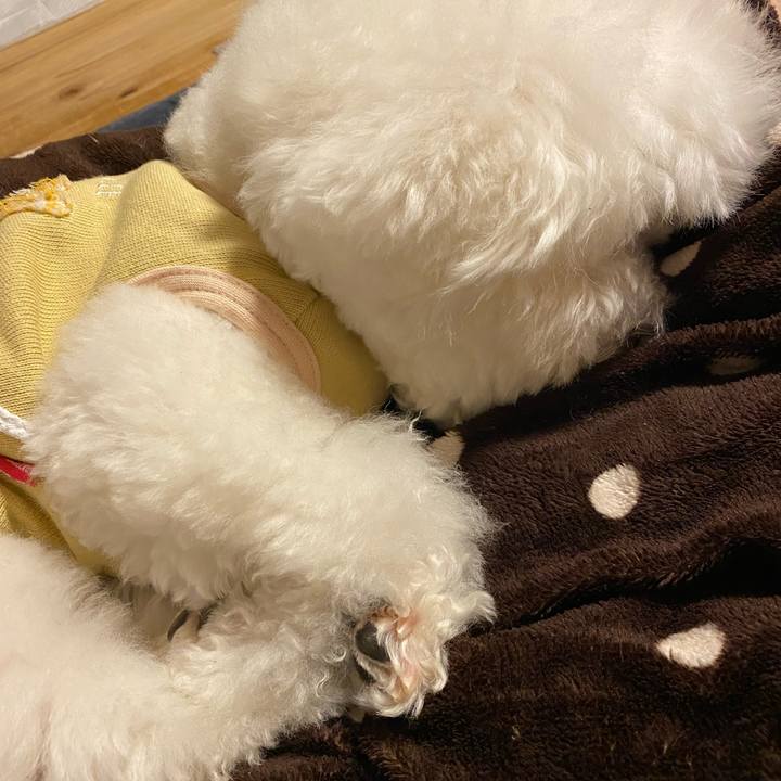 Ca3b7778 72ed 495f 96b2 0648322f7ceb 1636619753033