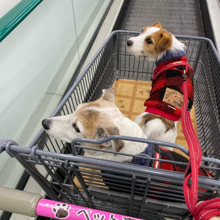 Ca3b992f 8042 47e1 97f5 4e24d47b3324 1640411625852