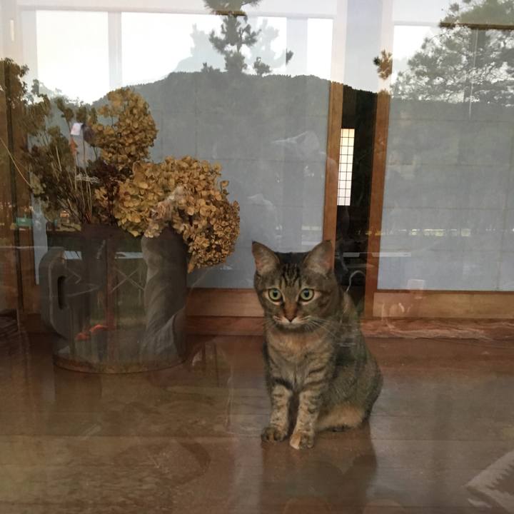 Ca3bb59d 1bfa 40af beaf 7d76f0ce20b4 1535489369521