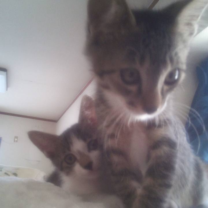 Ca3bc7b2 ed3f 4c76 b107 b588c54cfe82 1615547723979