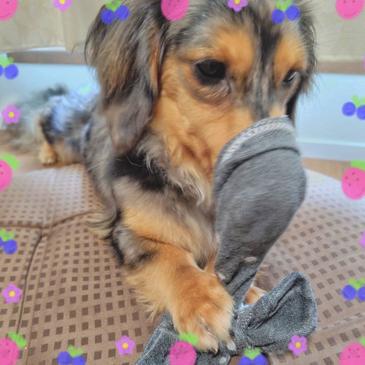 Ca3bc9b5 b99d 41cb 834a 1063bffe235a 1720316324690