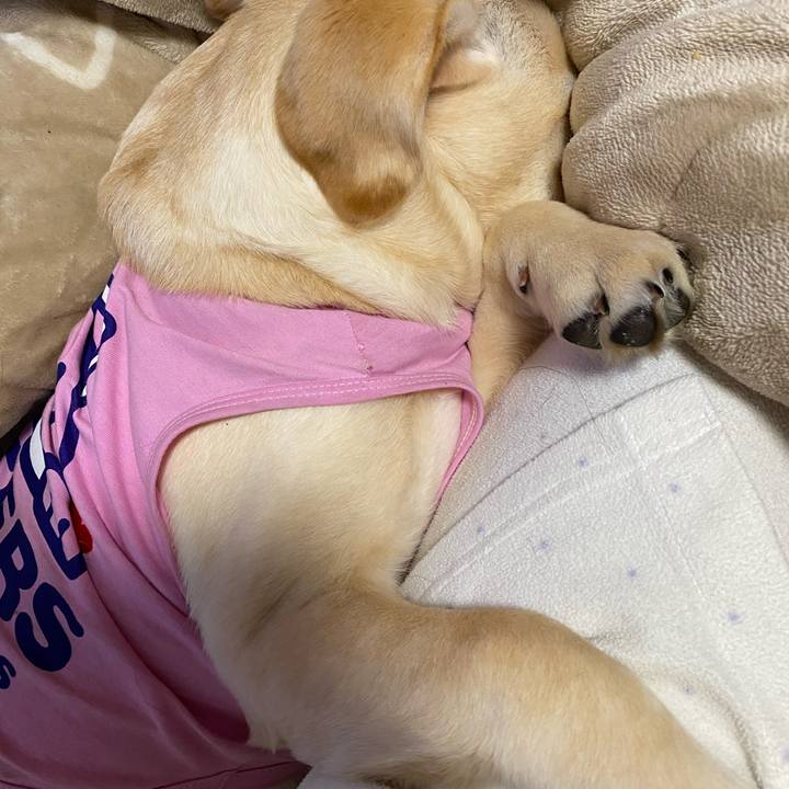 Ca3bd41c b740 4ebe aca5 68d116a56fc0 1616059606403