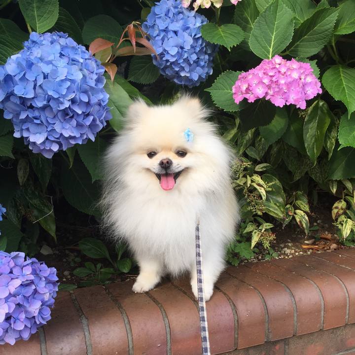 Ca3bf6fb 7882 4a00 bcbe 3c24fad1bdaf 1591309188461