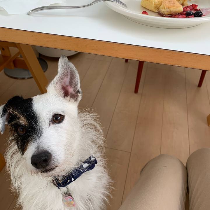 Ca3c1106 5c13 4890 b442 68f6eac50455 1663370790301