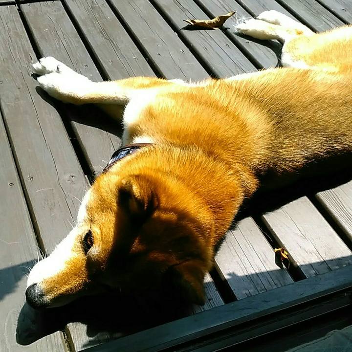 Ca3c568d 6c05 4e01 afcb 92dcb45265c1 1563336883827