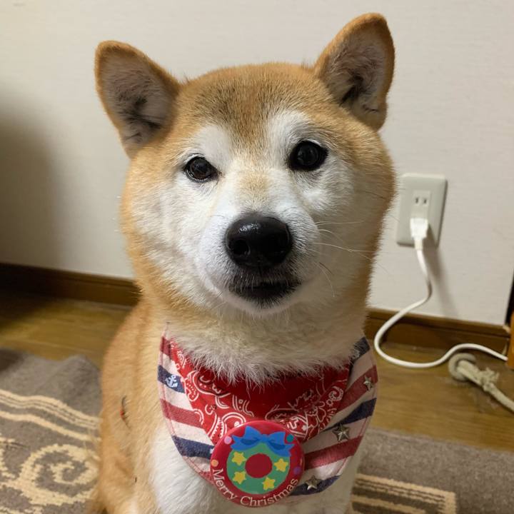 Ca3c56cb e46b 4f72 858a 9afd0f851f48 1640593116618