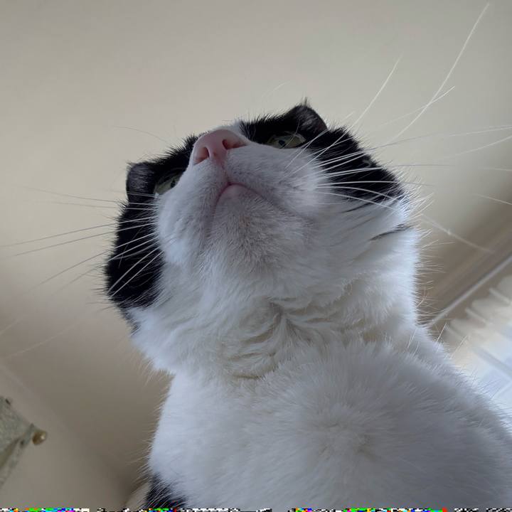 Ca3c68bc 7bbf 44bf b037 0402d70fb4ab 1744171236312
