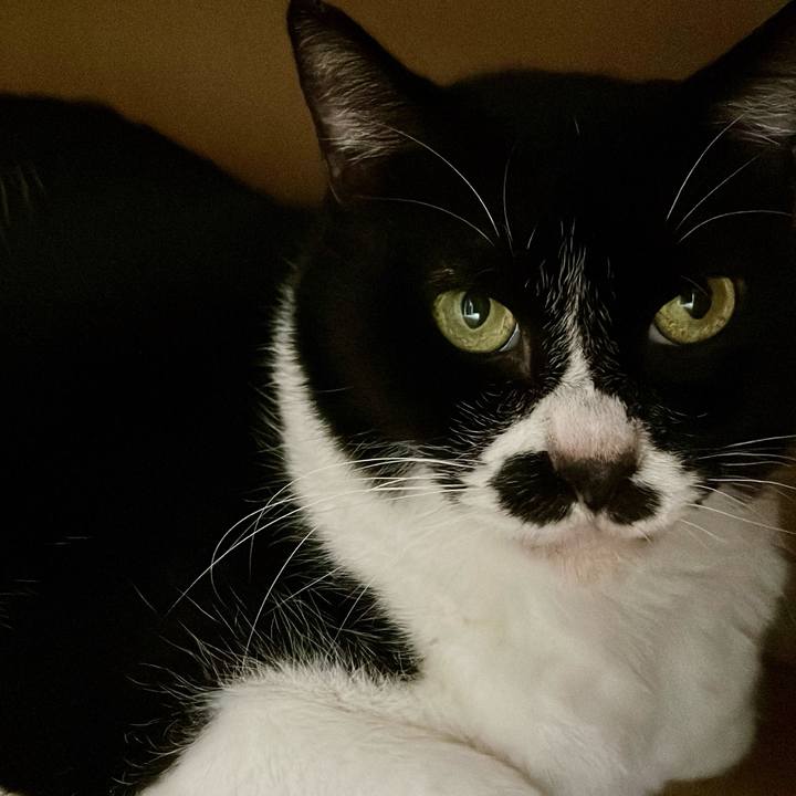 Ca3c85d7 7507 45f6 b334 231d9cca1390 1708037708815